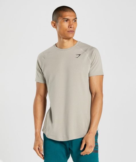 Men's Gymshark Bold T-Shirts Grey | CA 0N8AD7